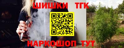 гидра Заводоуковск