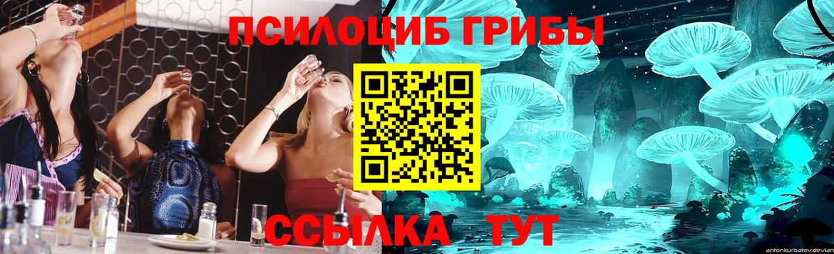 Галлюциногенные грибы Psilocybe Кудымкар