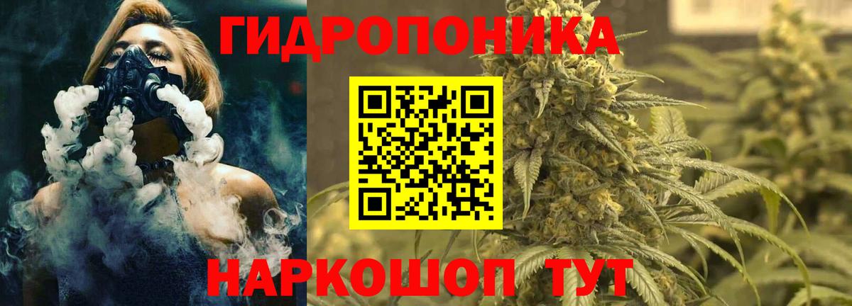 Каннабис гибрид Кудымкар